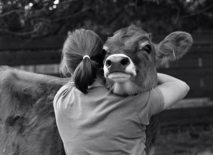 Veganismo: ¿Qué es ser ético hoy día?