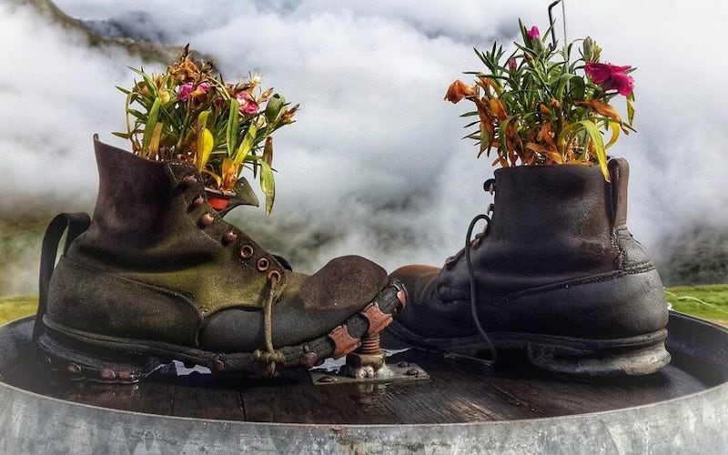 Así son los nuevos “green influencers”